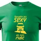 Pánské tričko Sexy řidič dodávky
