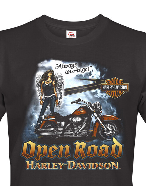Pánské triko Harley-Davidson 19