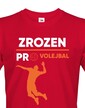 Pánske tričko Volejbal