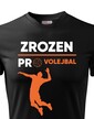 Pánske tričko Volejbal