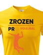 Pánske tričko Volejbal