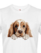 Pánské tričko Americký kokeršpaniel
