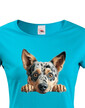 Dámské tričko Austrálsky dobytkársky pes