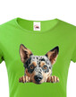 Dámské tričko Austrálsky dobytkársky pes