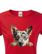 Dámské tričko Austrálsky dobytkársky pes
