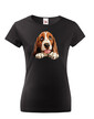 Dámské tričko Basset