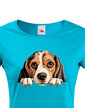 Dámské tričko Bígl