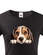 Dámské tričko Bígl