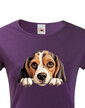 Dámské tričko Bígl