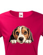 Dámské tričko Bígl