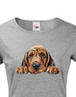 Dámské tričko Bloodhound