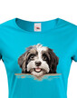 Dámské tričko Havanský psík