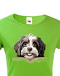 Dámské tričko Havanský psík