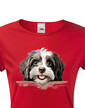Dámské tričko Havanský psík