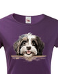 Dámské tričko Havanský psík