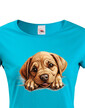Dámské tričko Labrador