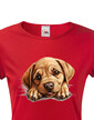 Dámské tričko Labrador