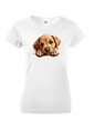 Dámské tričko Labrador