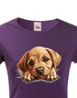 Dámské tričko Labrador