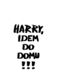 Detské tričko Harry, idem do domu!!!