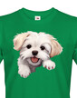 Pánské tričko Maltézsky psík