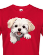 Pánské tričko Maltézsky psík