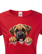 Dámské tričko Mastiff