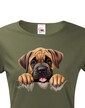 Dámské tričko Mastiff