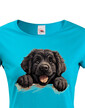 Dámské tričko Novofundlandský pes