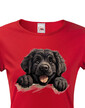 Dámské tričko Novofundlandský pes
