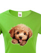 Dámské tričko Pudel