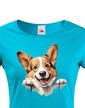 Dámské tričko Welsh Corgi Pembroke