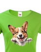 Dámské tričko Welsh Corgi Pembroke