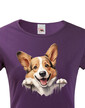Dámské tričko Welsh Corgi Pembroke