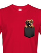 Pánské tričko Leonberger v kapsičce