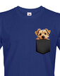 Pánské tričko Norfolkský teriér v kapsičce