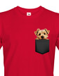 Pánské tričko Norfolkský teriér v kapsičce