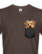 Pánské tričko Norfolkský teriér v kapsičce