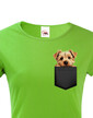Dámské tričko Norfolkský teriér v kapsičce