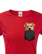 Dámské tričko Norfolkský teriér v kapsičce