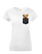 Dámské tričko Norfolkský teriér v kapsičce