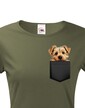 Dámské tričko Norfolkský teriér v kapsičce