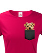 Dámské tričko Norfolkský teriér v kapsičce