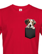 Pánské tričko Pointer v kapsičce