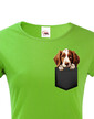 Dámské tričko Welsh springer španiel v kapsičce