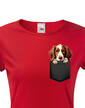 Dámské tričko Welsh springer španiel v kapsičce