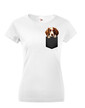 Dámské tričko Welsh springer španiel v kapsičce