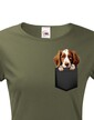 Dámské tričko Welsh springer španiel v kapsičce