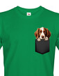 Pánské tričko Welsh springer španiel v kapsičce