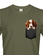 Pánské tričko Welsh springer španiel v kapsičce